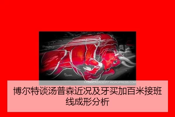 bo-er-te-tan-tang-pu-sen-jin-kuang-ji-ya-mai-jia-bai-mi-jie-ban-xian-cheng-xing-fen-xi-2-503.jpg